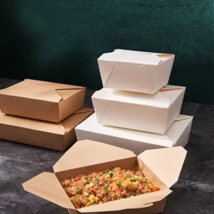 Customized Kraft Paper Lunch Boxes for Takeout Packaging Fast Food Light Meals and Salad Boxes