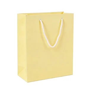 Customized Kraft Paper Shopping Gift Bag with Long Handles, Size and Color Options, Offset Printing
