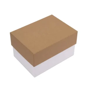 Customized Logo Embossed Matte-Laminated Rectangular Rigid Packaging Box for Shoes and Clothes
