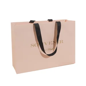 Customized Logo Paper Bags for Clothing and Gift Packaging