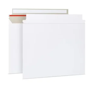 Customized Printed Rigid Kraft Cardboard Mailer Envelope