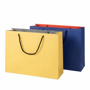 Customized Recyclable Full-Color Printed Paper Shopping Gift Bag