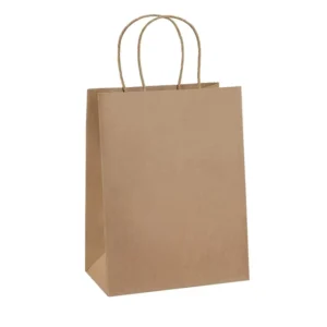 Customized Recyclable Khaki Kraft Paper Bag with Custom Logo for Shopping and Gift Packaging