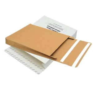 Customized Size Kraft Paper Cardboard Envelope Fast Express for Document