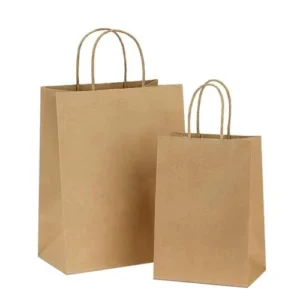 Customized Takeaway Food Bag Fashion Shopping Bag Brown Kraft Paper Bag with Printable logo