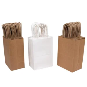 Customized White and Brown Kraft Paper Bags with Handles for Clothing and Shoes, Personalized Logo Print