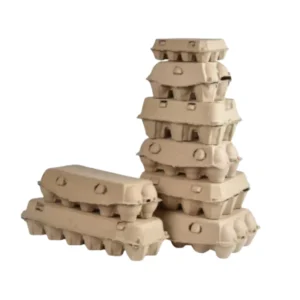 Degradable Pulp & Recycled Paper Egg Trays Shock-proof Eco-friendly Packaging for Household Use with Logo Printing