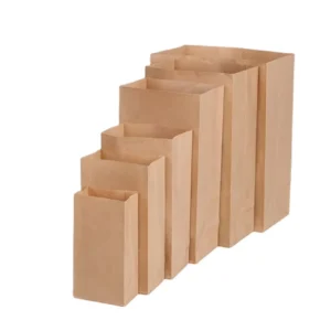Delivery Takeaway Kraft Paper Food Bag