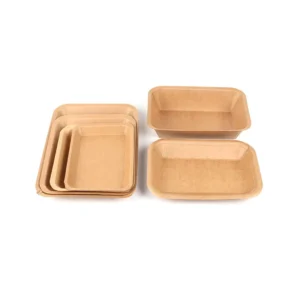 Disposable Custom Kraft Paper Cake Packaging Tray and Biodegradable Food Tray