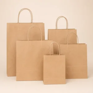 Disposable Custom Printed Kraft Paper Carrier Bag with Twist Handles for Burger and Sandwich Takeaway