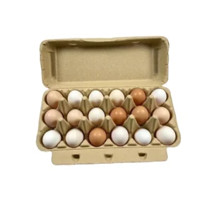 Disposable Degradable Environmental Protection Egg Tray Packaging Box Shockproof Egg Box with 18 Eggs