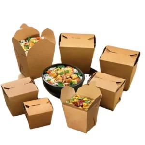 Disposable Eco-Friendly Kraft Paper Noodle Box, Waterproof Leakproof Food Grade Container for Hot or Cold Takeout