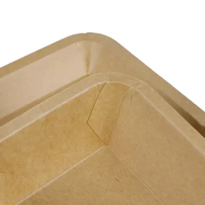 Disposable Flat Paper Food Packaging Tray
