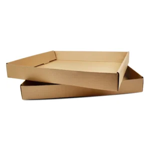Disposable Kraft Paper Restaurant Food Tray