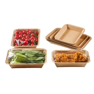 Disposable Paper Dinner Tray for Warm and Cold Foods