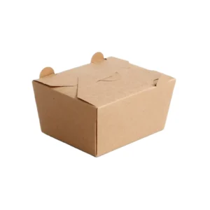 Disposable Paper Takeout Food Box for Sushi and Fried Chicken