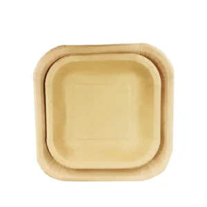 Disposable Square Brown Kraft Paper Tray 20-Pack for Party and Picnic Use