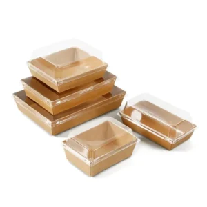 Disposable Square Rectangular Paper Sushi Box with PET Lids