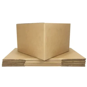 Double-Wall Paper Moving Box
