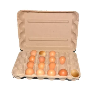 Durable Biodegradable 30-Hole Pulp Egg Tray