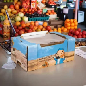 Durable Paper Fruit Storage and Transport Boxes