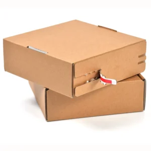 Easy-Tear Recyclable Corrugated Board Aircraft Box with Secure Closure, Custom Logo Die-Cut Printing for Shipping and Storage