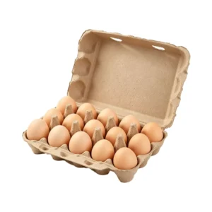 Eco-Friendly 15-Cavity Recycled Paper Pulp Egg Holder and Packaging Tray