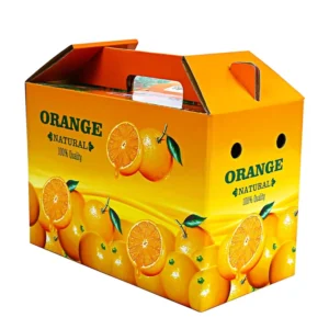 Eco-Friendly Corrugated Orange Fruit Packaging Carton