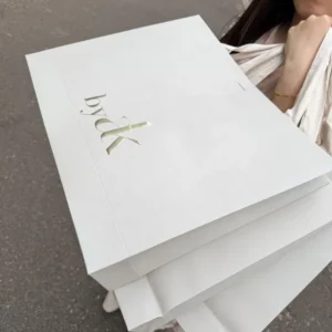 Eco-Friendly Custom Logo Art Paper Shopping Bag with Full-Print Lamination and Ribbon Handle for Clothing Packaging