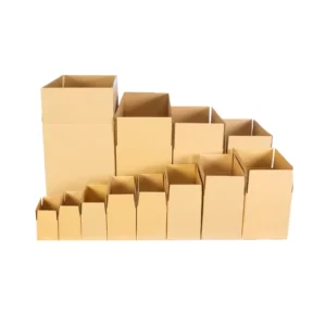 Eco-Friendly Custom Printed Corrugated Shipping Box for Subscription and Monthly Gift Packaging Delivery