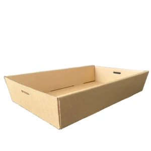 Eco-Friendly Custom-Size Cardboard Paper Tray with Lid
