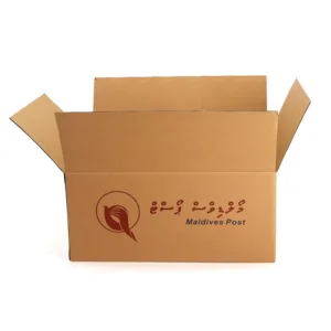 Eco Friendly Kraft Paper RSC Corrugated Shipping Carton, Custom Printed