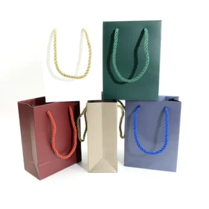 Eco-Friendly Luxury Art Paper Shopping Bags for Supermarkets