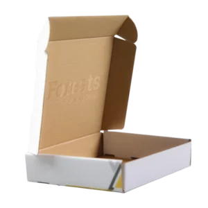 Eco-Friendly Recyclable Corrugated Cosmetic Mailer Box with Custom Printed Logo, Foldable Beauty Shipping Box