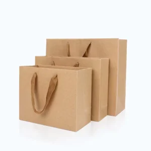 Eco-Friendly Recycled Kraft Paper Bag with Twisted Handle for Retail and Exhibitions