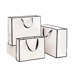 Eco-Friendly White Foldable Cardboard Paper Gift Bags With Handle For Clothing Packaging