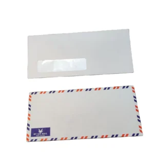 Express Courier Mailer Envelopes, White Paper, Peel and Seal, Clear Window