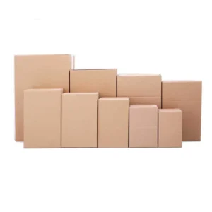 Express Logistics Moving Carton Hard Corrugated Paper Rigid Boxes Embossed Matte Household Products