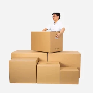 Extra Hard Thickened Moving Paper Box for Logistics Packing, Moving, and Storage