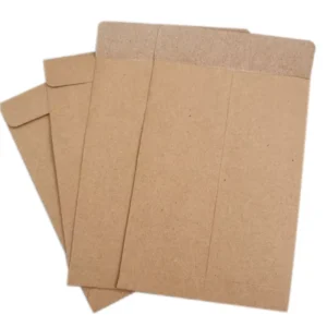 FSC Certified Custom Printed Brown Kraft Paper Mailing Envelope