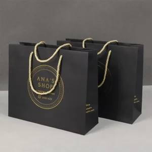 Factory Custom Printed Black Paper Shopping Gift Bag