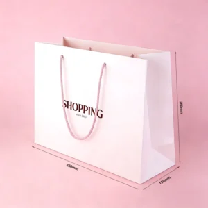 Factory Custom Printed Coated Paper Shopping Bags with Handle for Clothes and Gift Packaging