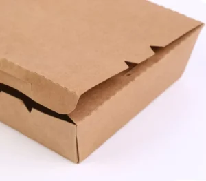 Factory Customized 1200g 20x15x3.5cm Food Carton Boxes Kraft Paper Box