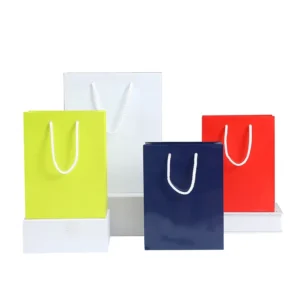 Factory Customized Branded Logo Luxury Black Paper Apparel Packaging Gift Shopping Bag Pape Bag