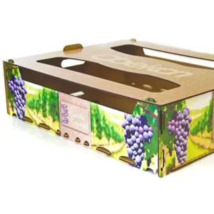 Factory Direct Cardboard Corrugated Paper Carton Orange Fruit Packaging Box