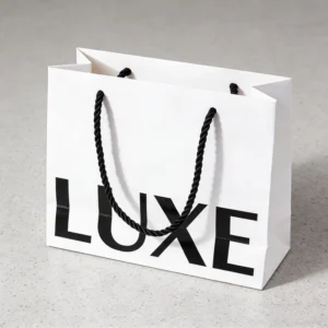 Factory Direct Custom Printed Eco Friendly Personalized Logo High Capacity Paper Bag for Retail Shopping