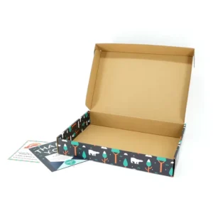 Factory Direct Kraft Brown Recyclable Corrugated Mailer Shipping Boxes with Tuck Top