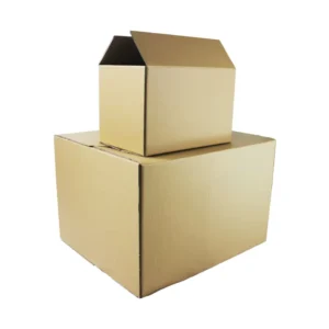 Factory F-SC Cardboard Corrugated Paper Carton for Delivery