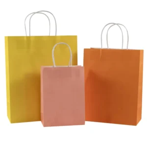 Factory Recyclable Kraft Paper Bag with Twisted Handle Eco friendly Coloured Gift Shopping Paper Bags