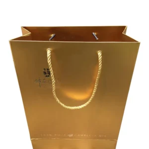 Fashionable Paper Shopping Bag Shopping Paper Bags